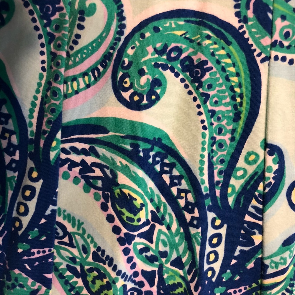 Lilly Pulitzer dress - Picture 5 of 5